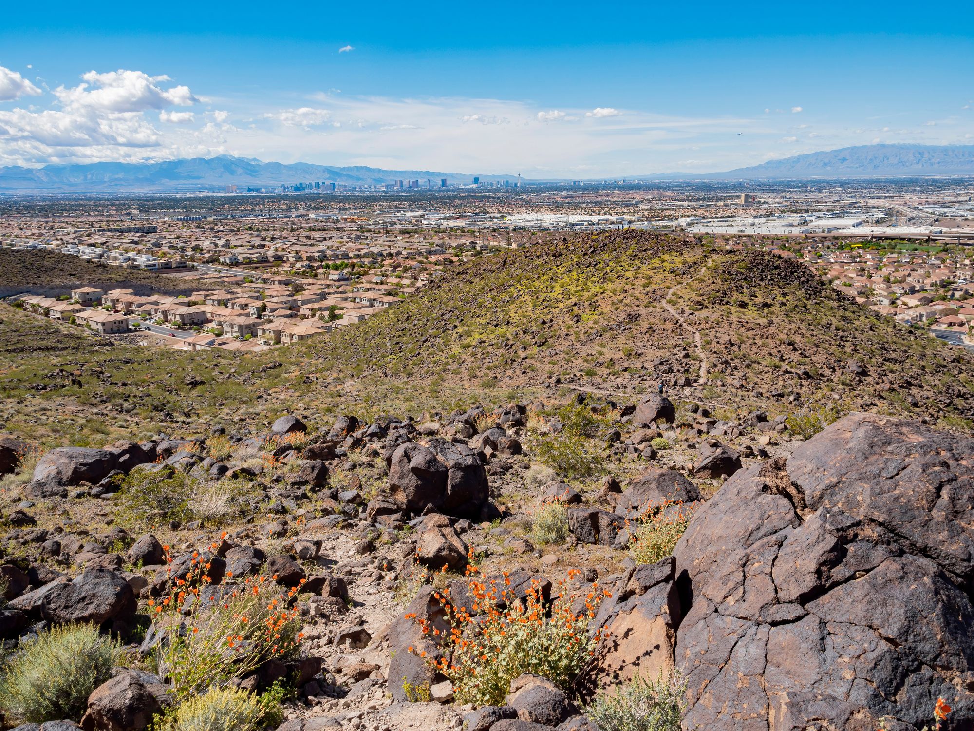 Homes in Black Mountain, Henderson NV