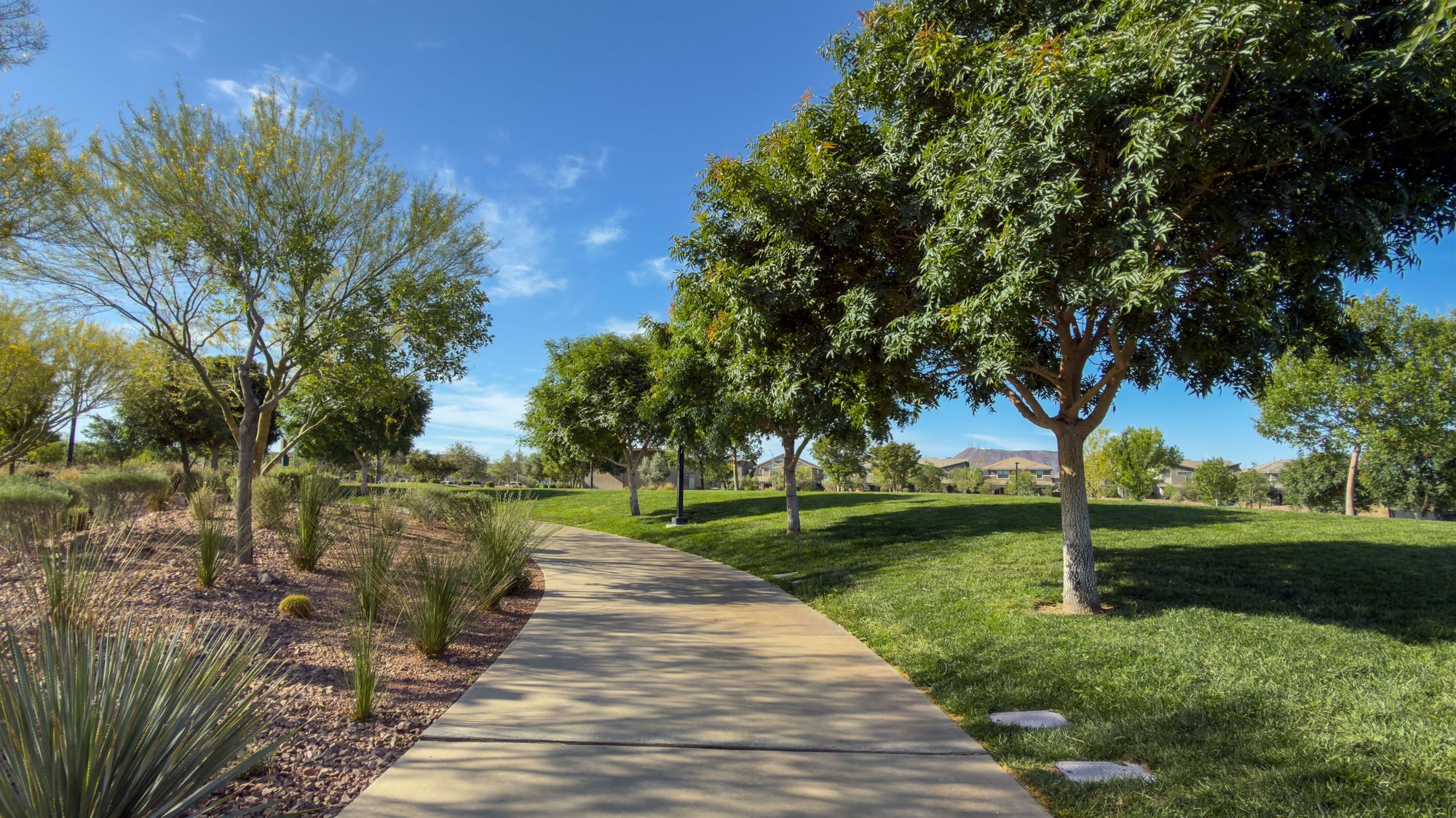 Homes in Paradise Hills, Henderson NV